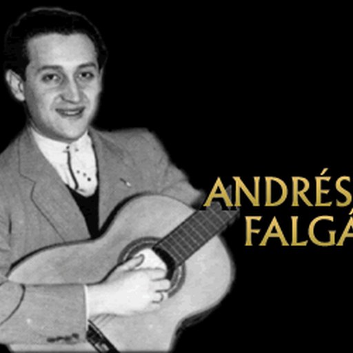 Retrato de Andrés Falgás