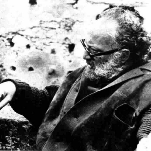 Retrato de Mario Landi